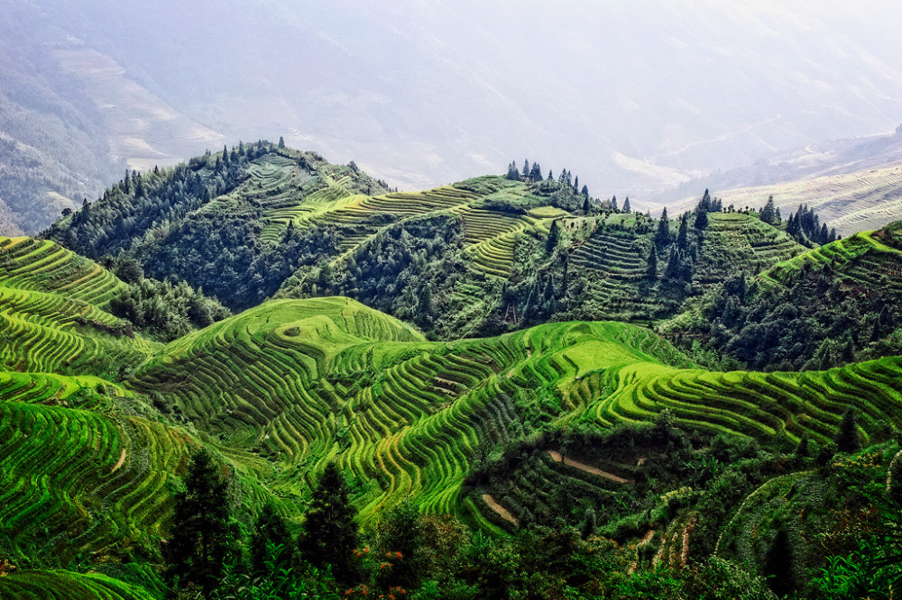 New featured gallery - China | René Timmermans Photography